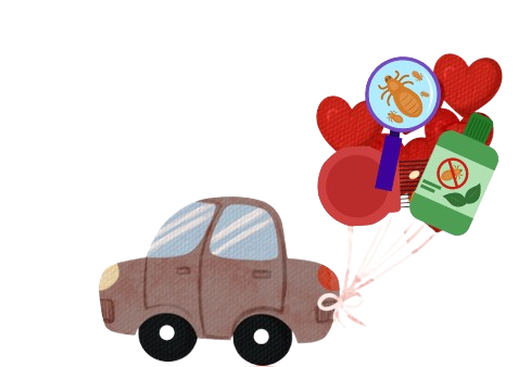 Illustration voiture et ballons